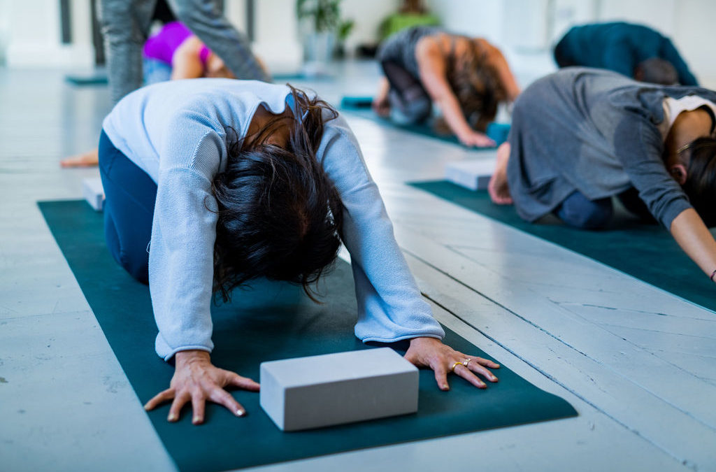 4 Week Beginners Yoga Course